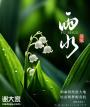 雨水节气与九江双蒸：岭南佳酿的温润情怀