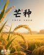 芒种时节话双蒸：岭南风物里的农耕智慧与酒香传承