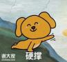 短视频难题大作战，中谦营销是利器！