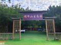 广州越秀七月公司团建拓展户外活动的农家乐
