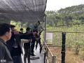 惠州公司团建回归自然，体验农家乐趣