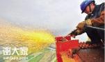 深圳建筑焊工证在哪里办理2020年焊工证报名多久拿证