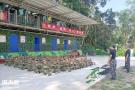 绝地精英夏令营为何会得到关注