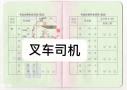 番禺区南沙区哪里报考叉车司机牌？
