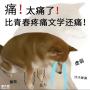 痛经不是小事，科学应对是关键！