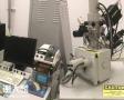 淮安富汇电子的赛默飞电镜产品