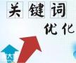 越秀做关键词排名优化的公司，给企业网站带来点击量