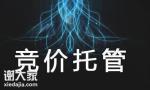 广州专业做竞价推广的公司，大大增加企业的利润